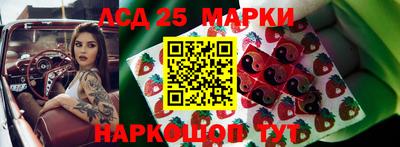 шишки Славгород