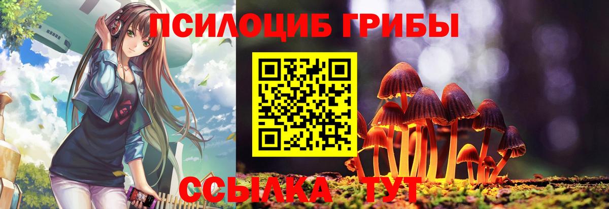 Псилоцибиновые грибы Magic Shrooms  Псилоцибиновые грибы MAGIC MUSHROOMS  Вход с VPN  купить   Новосибирск 